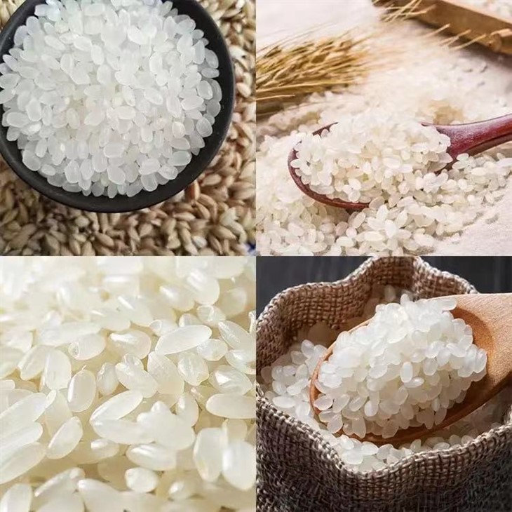 Extruded Artificial Rice Making Machine